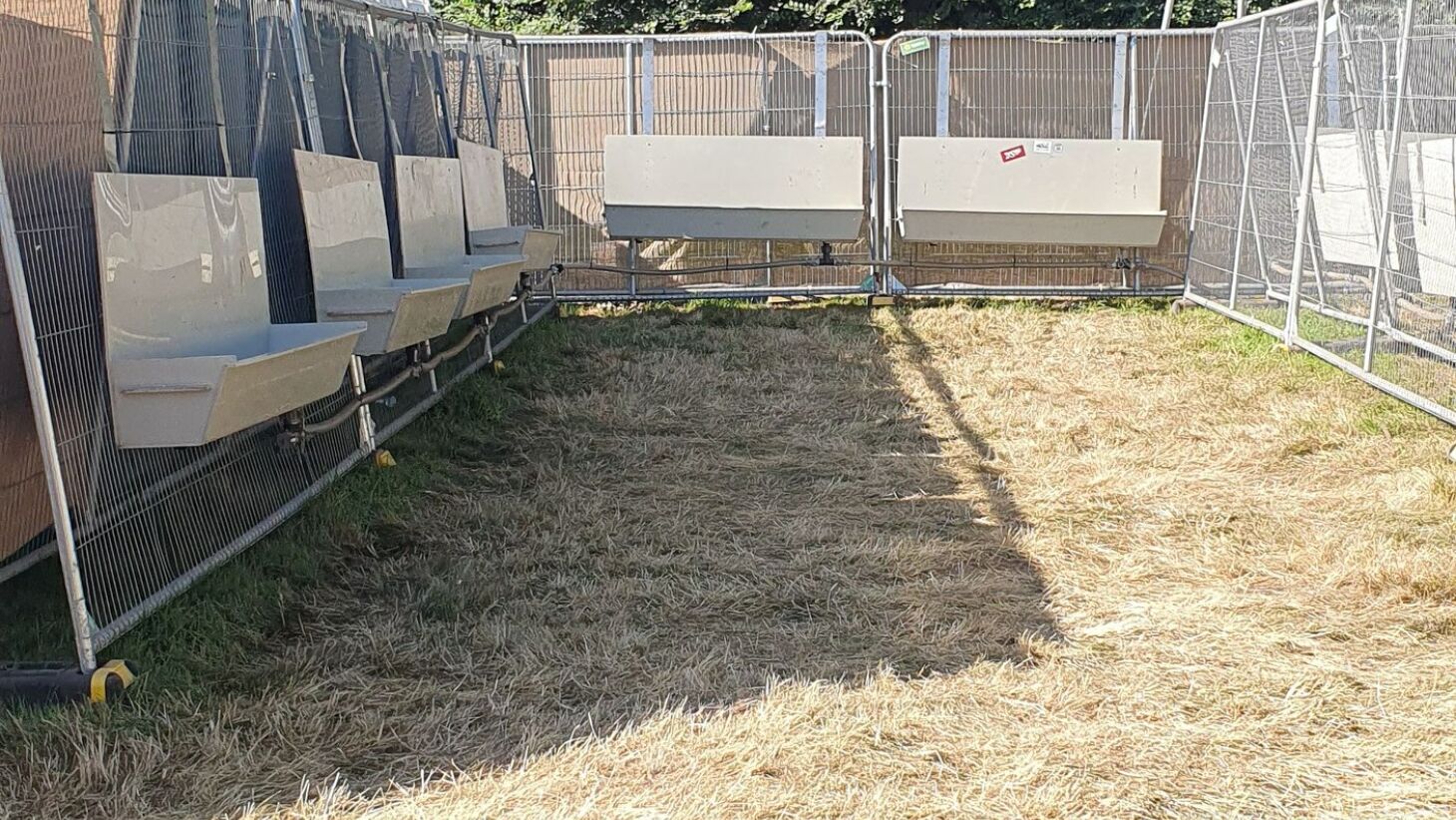 Latitude Festival 7