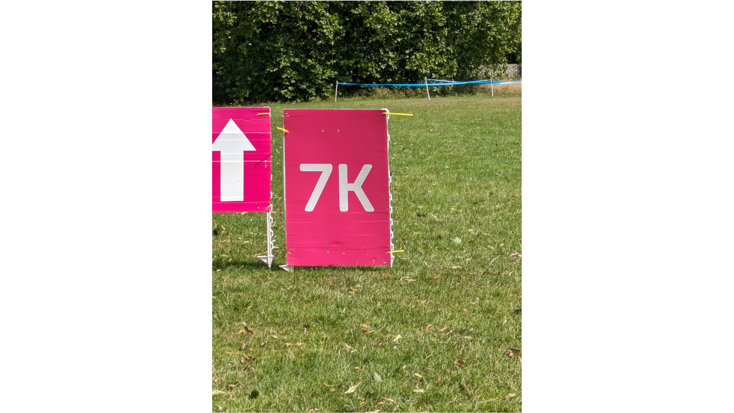 Copy of Image Gallery (2)